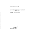 AS ISO/IEC 21000.16-2006